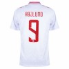 Camiseta de fútbol Dinamarca Hojlund 9 Primera Equipación Euro 2024 - Hombre